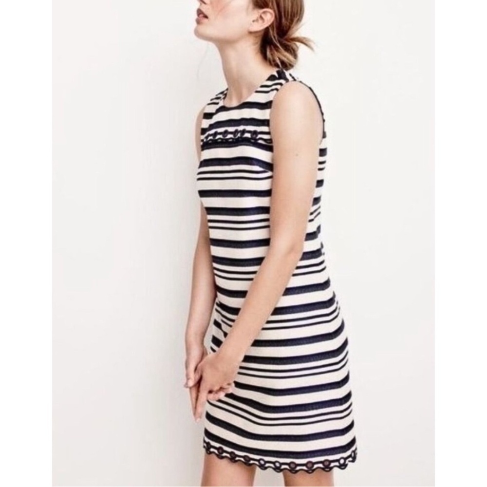 NEW J.Crew Striped Scalloped Tweed Shift Dress 8 in Navy Blue and White